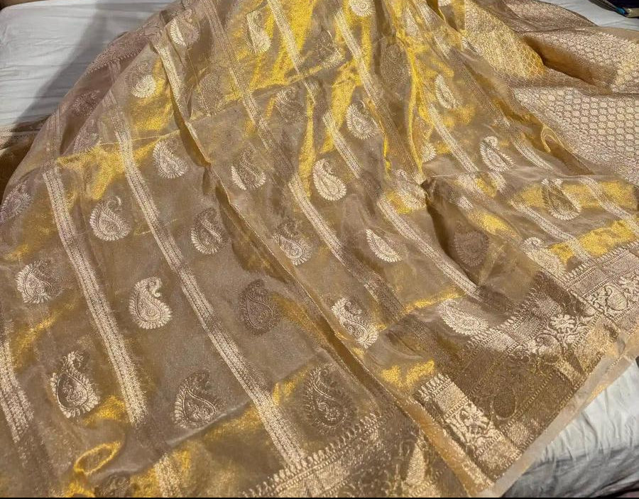 Golden Banarasi saree for Dhanteras 2026 | Saviias Studioz